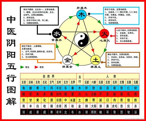 五行 土生金|一分钟记住，五行相生相克。